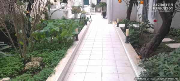 20241219_162646.jpg